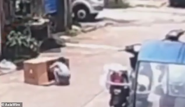 Trốn trong thùng carton giữa đường, bé 5 tuổi bị ô tô chèn qua