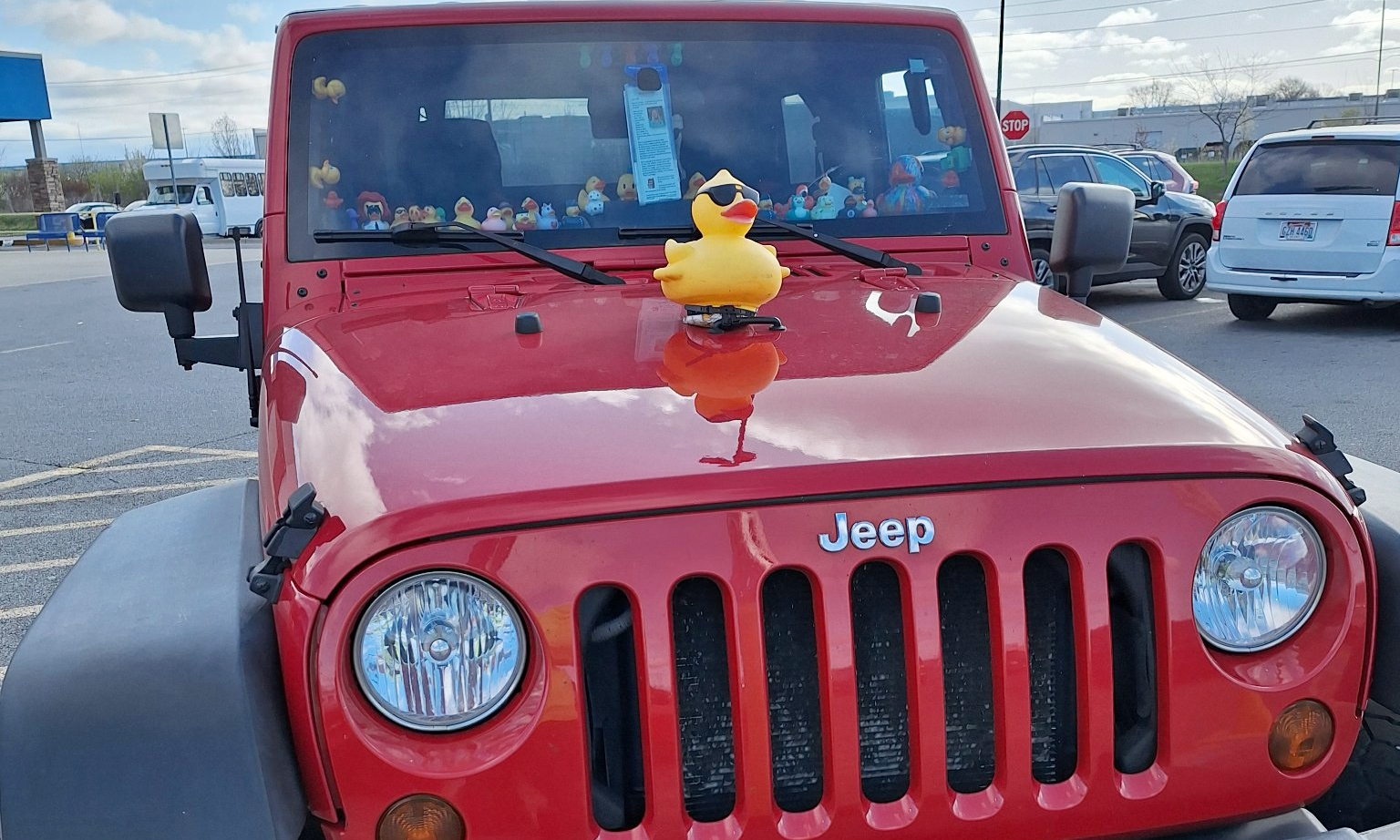 Trào lưu dùng vịt lan tỏa sự tử tế của chủ xe Jeep