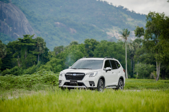 Subaru Forester và Crosstrek nhận ưu đãi 308 triệu đồng