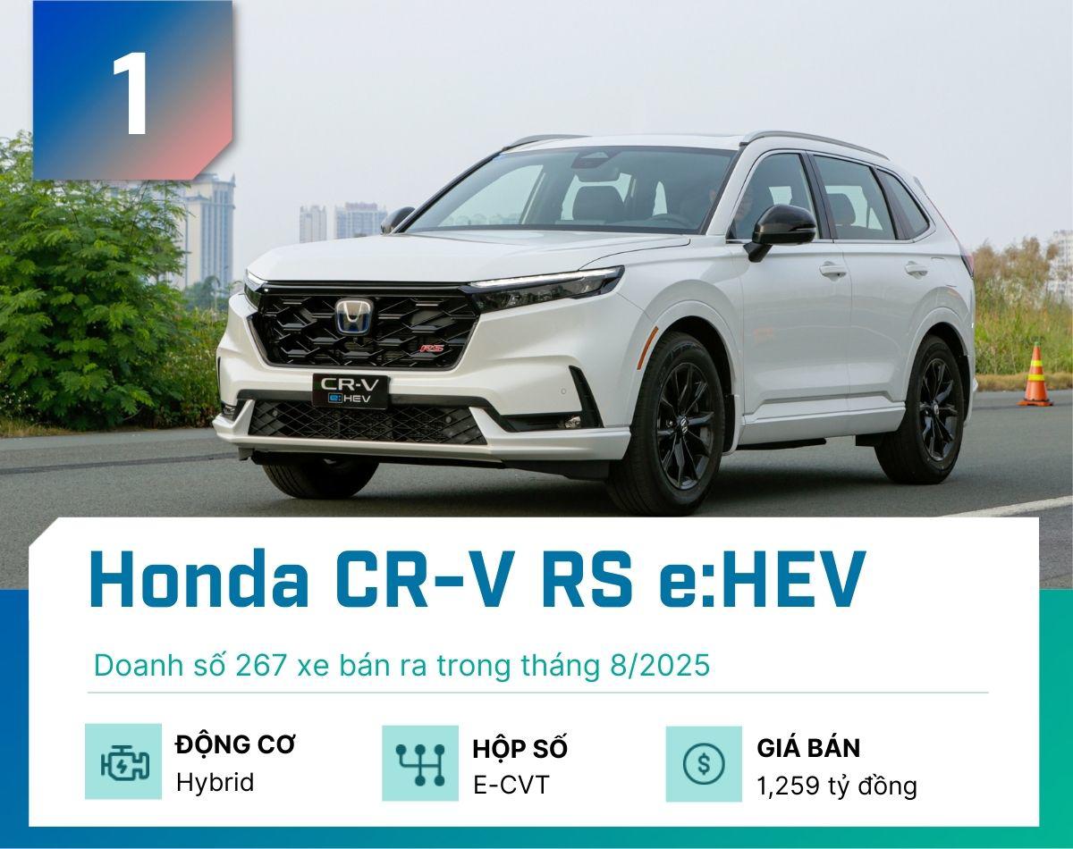 Đây là 5 mẫu xe hybrid bán chạy nhất tại Việt Nam tháng 8/2025