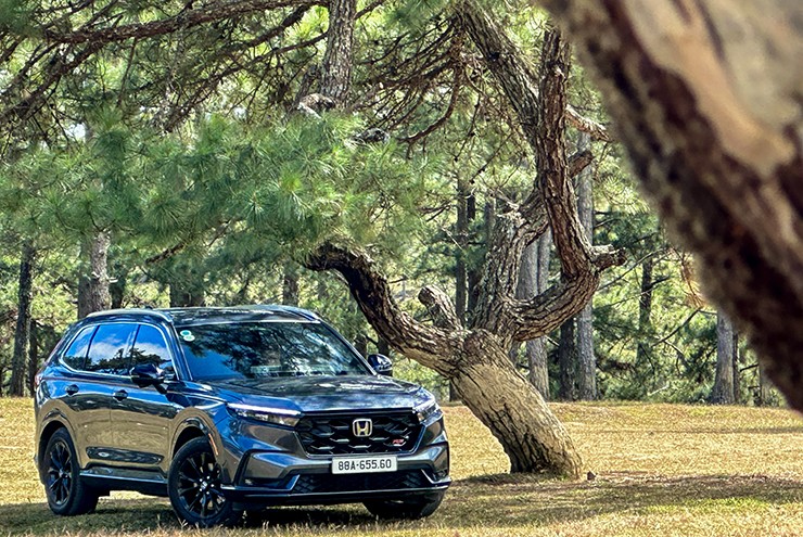 Giá xe Honda CR-V tháng 7/2025, ưu đãi 50% lệ phí trước bạ