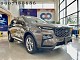 FORD TERRITORY TITANIUM X