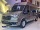 Ford Transit Limousine Skybus